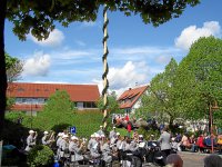 Maibaum 2008 033_qg